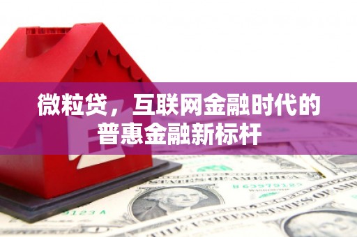 黄梅微粒贷，互联网金融时代的普惠金融新标杆