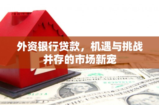 黄梅外资银行贷款，机遇与挑战并存的市场新宠