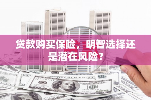 黄梅贷款购买保险，明智选择还是潜在风险？