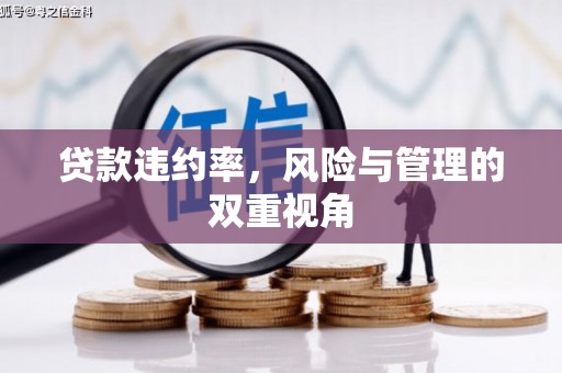 黄梅贷款违约率，风险与管理的双重视角
