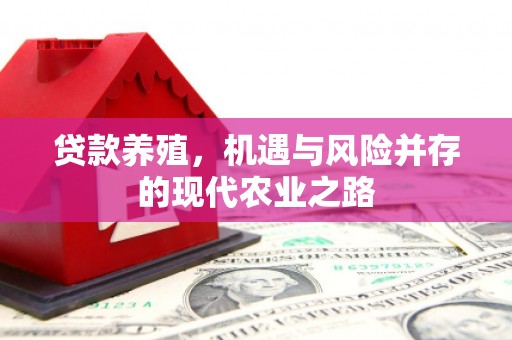 黄梅贷款养殖，机遇与风险并存的现代农业之路
