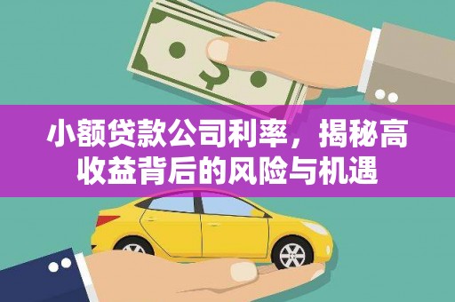 黄梅小额贷款公司利率，揭秘高收益背后的风险与机遇