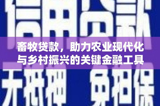 黄梅畜牧贷款，助力农业现代化与乡村振兴的关键金融工具