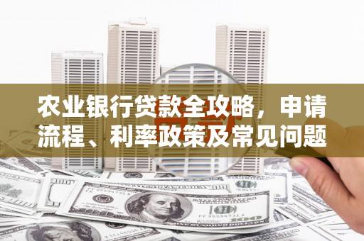 黄梅农业银行贷款全攻略，申请流程、利率政策及常见问题解析