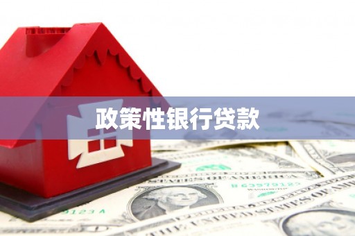 黄梅政策性银行贷款
