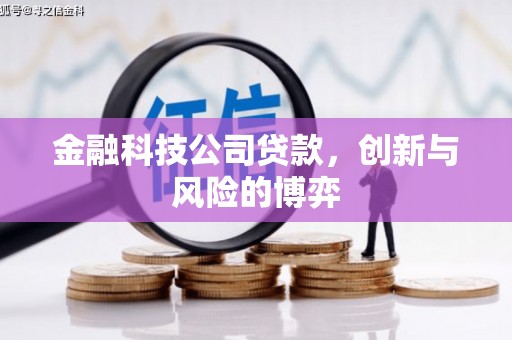 黄梅金融科技公司贷款，创新与风险的博弈