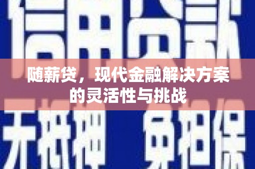黄梅随薪贷，现代金融解决方案的灵活性与挑战