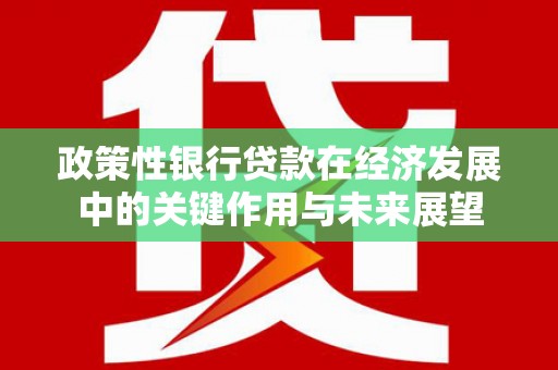 黄梅政策性银行贷款在经济发展中的关键作用与未来展望