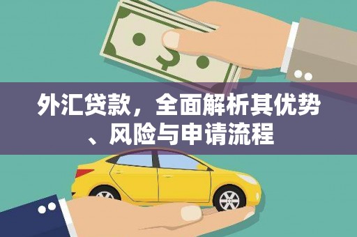 黄梅外汇贷款，全面解析其优势、风险与申请流程
