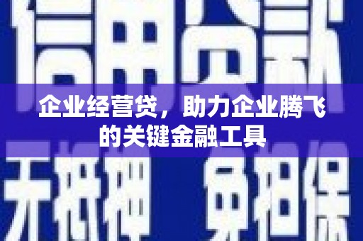 黄梅企业经营贷，助力企业腾飞的关键金融工具