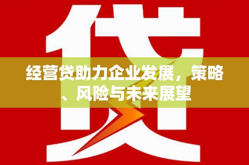 黄梅经营贷助力企业发展，策略、风险与未来展望
