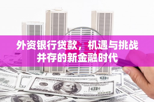黄梅外资银行贷款，机遇与挑战并存的新金融时代