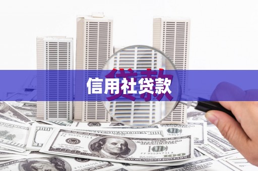 黄梅信用社贷款