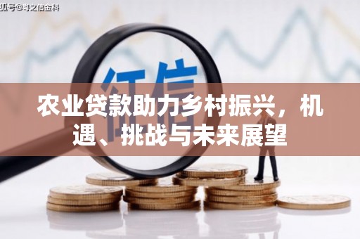 黄梅农业贷款助力乡村振兴，机遇、挑战与未来展望