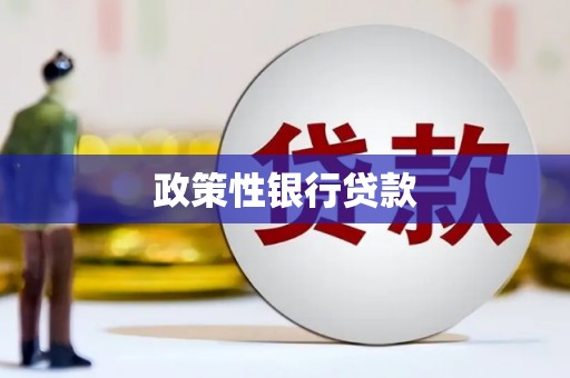 黄梅政策性银行贷款