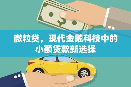 黄梅微粒贷，现代金融科技中的小额贷款新选择
