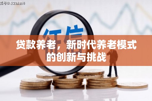 黄梅贷款养老，新时代养老模式的创新与挑战