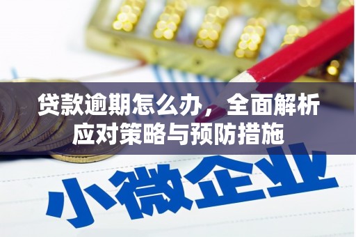 黄梅贷款逾期怎么办，全面解析应对策略与预防措施
