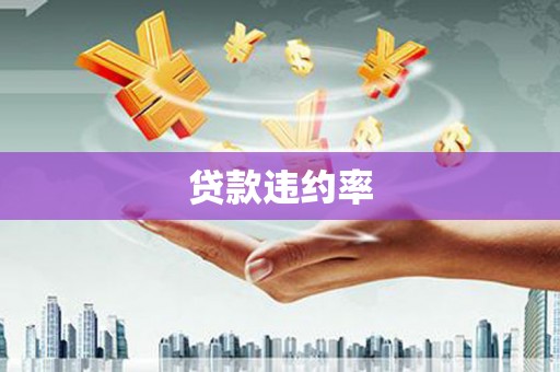 黄梅贷款违约率