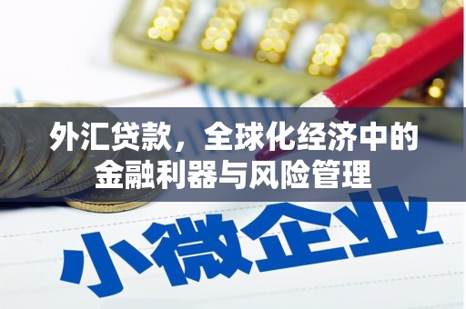 黄梅外汇贷款，全球化经济中的金融利器与风险管理