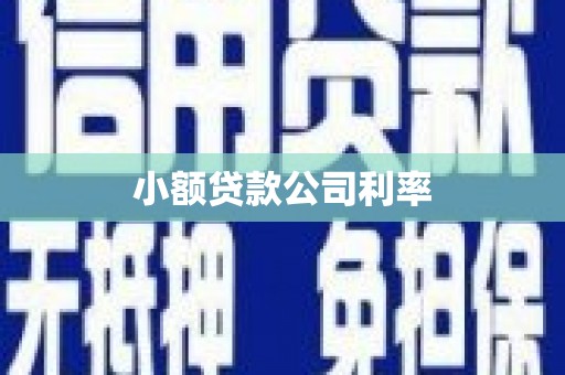 黄梅小额贷款公司利率