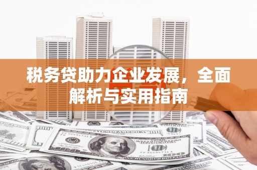 黄梅税务贷助力企业发展，全面解析与实用指南