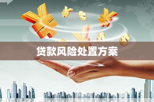 黄梅贷款风险处置方案