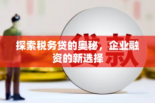 黄梅探索税务贷的奥秘，企业融资的新选择