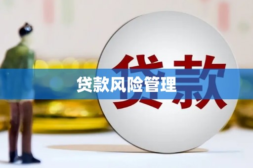 黄梅贷款风险管理