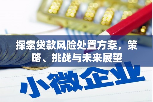 黄梅探索贷款风险处置方案，策略、挑战与未来展望