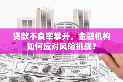黄梅贷款不良率攀升，金融机构如何应对风险挑战？