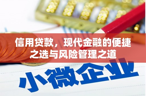 黄梅信用贷款，现代金融的便捷之选与风险管理之道