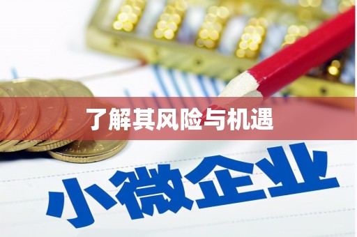 黄梅了解其风险与机遇