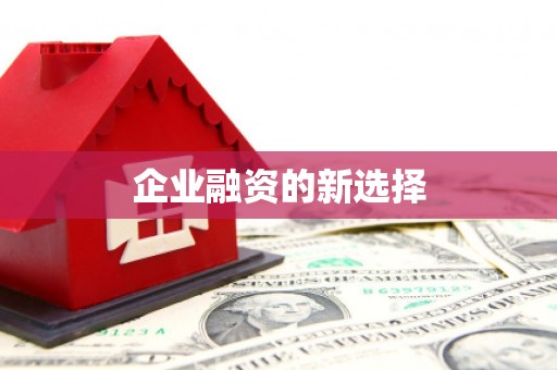黄梅企业融资的新选择