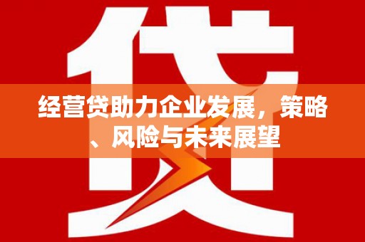 黄梅经营贷助力企业发展，策略、风险与未来展望