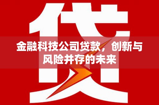 黄梅金融科技公司贷款，创新与风险并存的未来