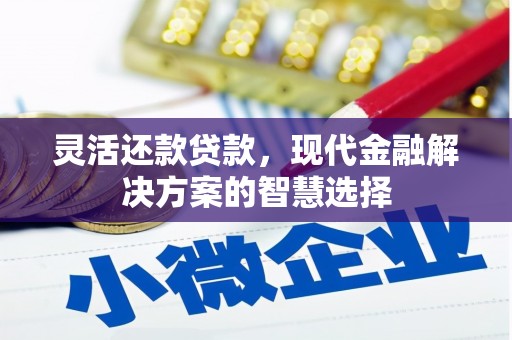 黄梅灵活还款贷款，现代金融解决方案的智慧选择