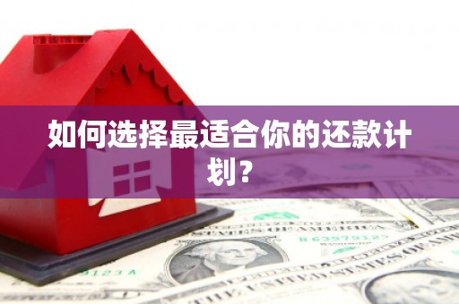 黄梅如何选择最适合你的还款计划？