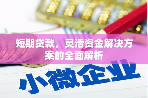 黄梅短期贷款，灵活资金解决方案的全面解析