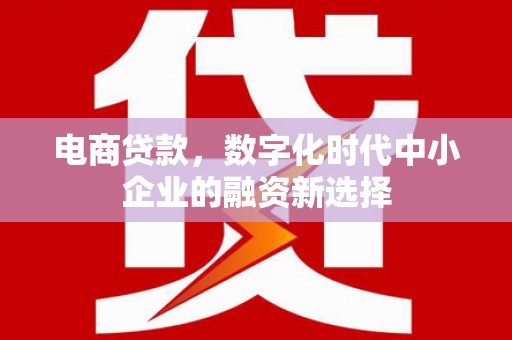 黄梅电商贷款，数字化时代中小企业的融资新选择