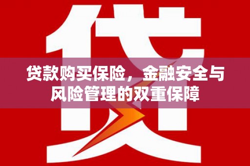 黄梅贷款购买保险，金融安全与风险管理的双重保障