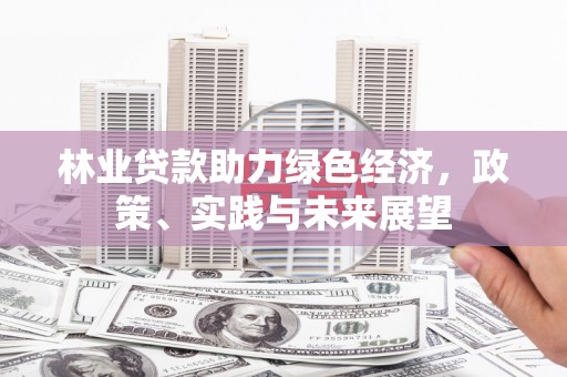 黄梅林业贷款助力绿色经济，政策、实践与未来展望