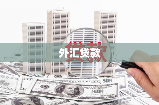 黄梅外汇贷款