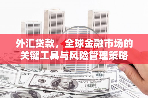 黄梅外汇贷款，全球金融市场的关键工具与风险管理策略