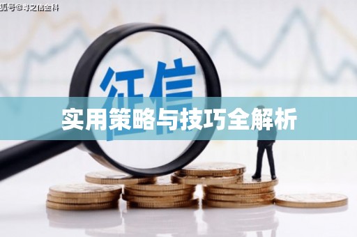 黄梅实用策略与技巧全解析