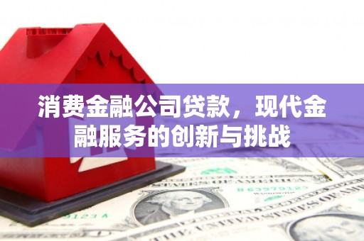 黄梅消费金融公司贷款，现代金融服务的创新与挑战