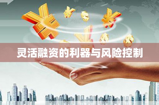黄梅灵活融资的利器与风险控制