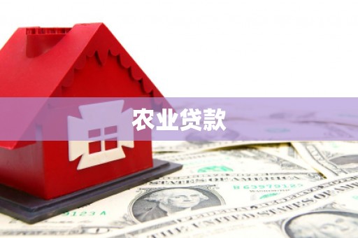 黄梅农业贷款