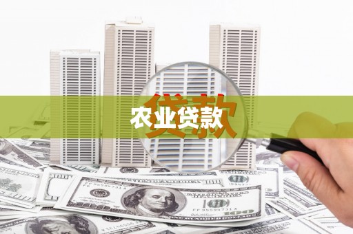 黄梅农业贷款