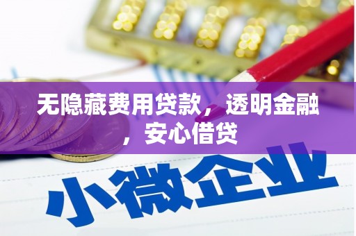黄梅无隐藏费用贷款，透明金融，安心借贷